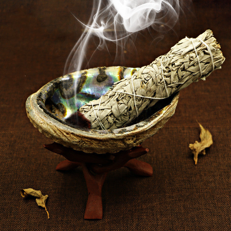 Shell Incense Burner with optional accessories